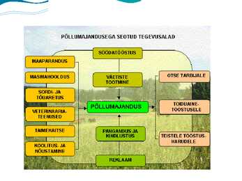 Põllumajandus-kalandus ja toiduainetööstus #3