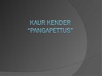 Kaur kender- Pangapettus-
