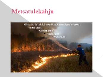 Metsamajanduse ja puidutööstusega seotud keskkonnaprobleemid #8