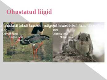Metsamajanduse ja puidutööstusega seotud keskkonnaprobleemid #9