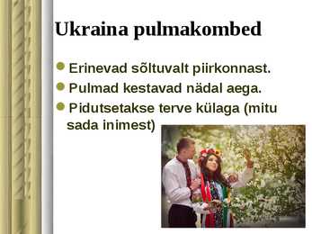 Ukraina pulmakombed #2