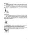 Stretches and exercises in office #9
