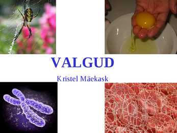 Valgud
