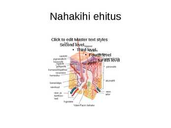 Nahk #2