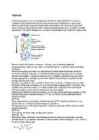 2 1 Geelkromatograafia #2