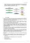 Grupp III dsRNA viirused #24
