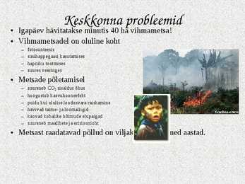 Ekvatoriaalsed vihmametsad #17