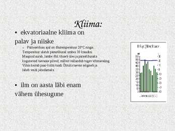 Ekvatoriaalsed vihmametsad #3