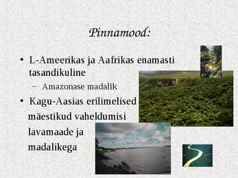 Ekvatoriaalsed vihmametsad #4