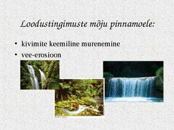 Ekvatoriaalsed vihmametsad #6