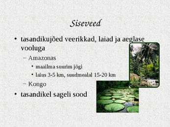 Ekvatoriaalsed vihmametsad #7