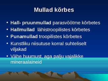 Kõrbed #5