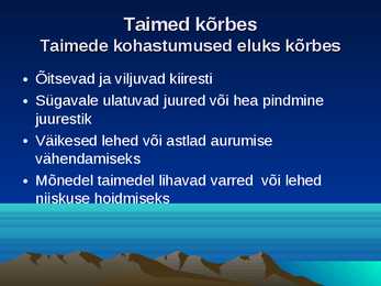 Kõrbed #6