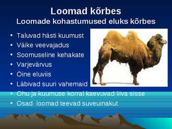 Kõrbed #8
