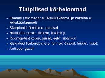 Kõrbed #9