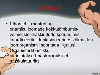 Lihased-Iseseisevtöö #2
