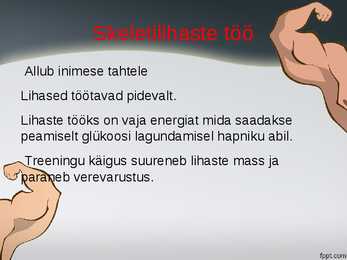 Lihased-Iseseisevtöö #13