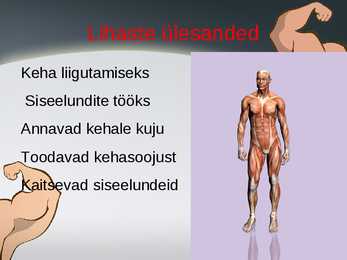 Lihased-Iseseisevtöö #14