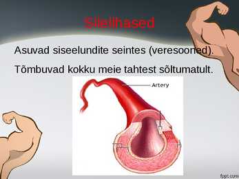 Lihased-Iseseisevtöö #6