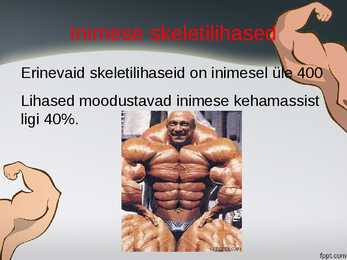 Lihased-Iseseisevtöö #7