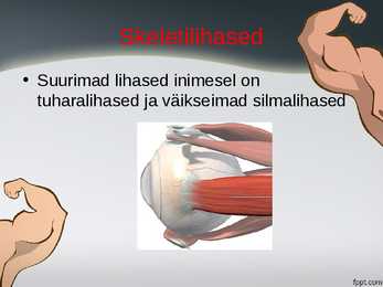 Lihased-Iseseisevtöö #10