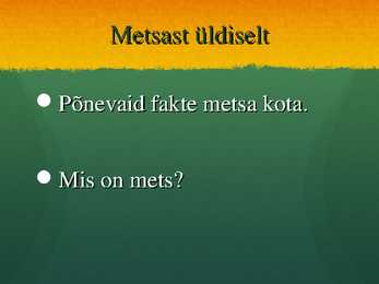 Ökosüsteem Mets - esitlus #2