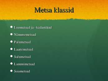 Ökosüsteem Mets - esitlus #11