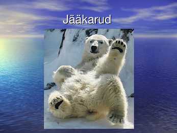 Jääkarud