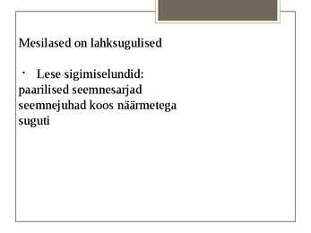 Maakimalane #11