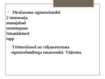 Maakimalane #12