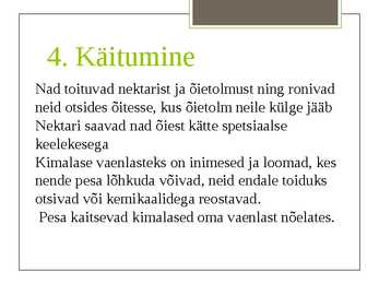 Maakimalane #13