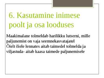 Maakimalane #16