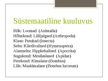 Maakimalane #3