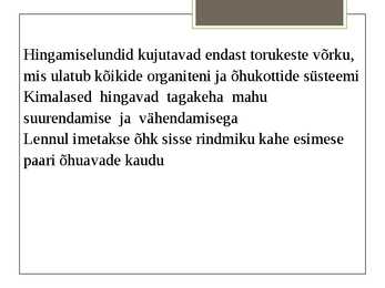 Maakimalane #7