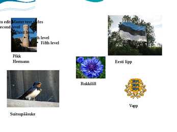 Eesti #17