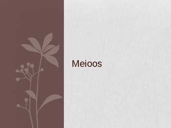 Meioos