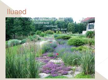 Iluaed #5