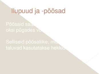 Iluaed #6