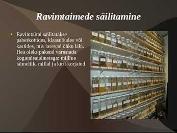 Ravimtaimed #12