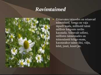 Ravimtaimed #3