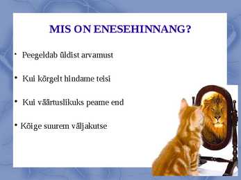 Enesehinnang #3