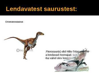Saurused #11