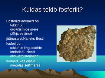 Fosforiit Eestis #3