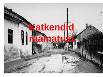Pal-tänava poisid #10