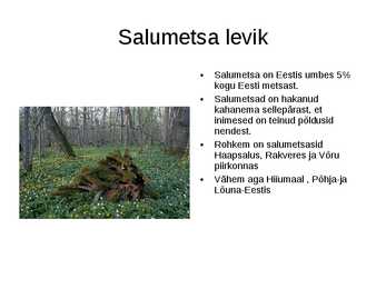 SALUMETS #4
