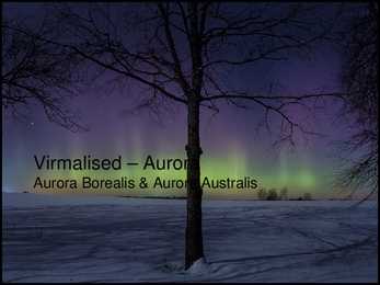 Virmalised #3