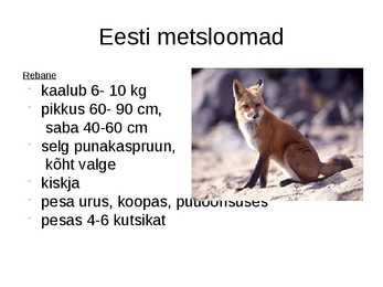 Metsloomad #3