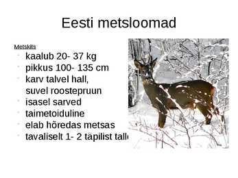 Metsloomad #5