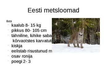 Metsloomad #9