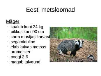 Metsloomad #10